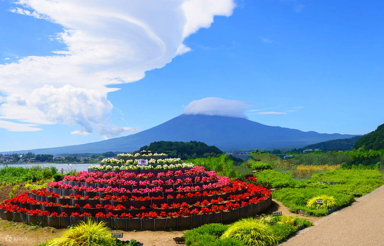 富士山　河口湖町　大石公園　「雲間の富士山」 富士山 河口湖町 大石公園 「雲間の富士山」